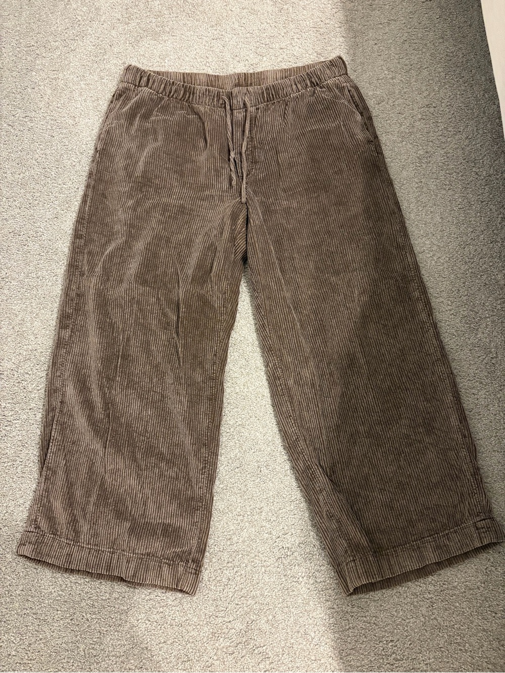 American Eagle Outfitters Wide-Leg Corduroy Pants in Brown